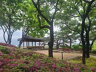 봄의 한가운데 아..