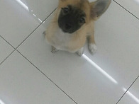 우주최강이쁜 호빵이🐶
