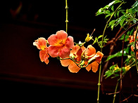 7월, 8월 우수작