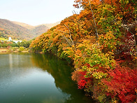 9월, 10월, 출사 작품 대..