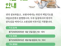 2025년 하안거백일기도