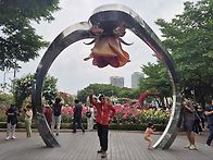 2026/5/19서울중량천 장미..