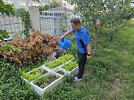 아빠의 밭(26.08.02)