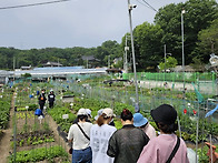 5월 열린어린이집 -텃밭활..