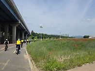 광릉수목원