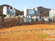 26'丙午年 1月이야기②