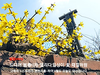 25' 을사년 4月이야기