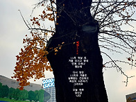 25'乙巳年 12月이야기