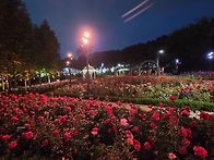 2026년5월28일 ..