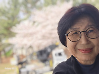 창문밖 풍경