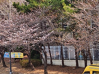 창문밖 풍경