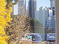 창문밖 풍경