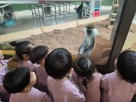과천서울대공원 현장학습