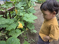 견우직녀달 첫째주..