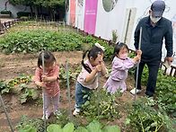 애벌레 관찰, 지주대 세우..