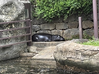 푸른달 셋째 주 ..