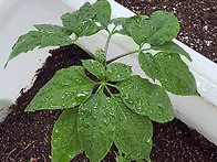 저희 삼 구매해서..