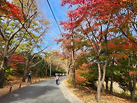 경남 창녕 화왕산 산행(1..