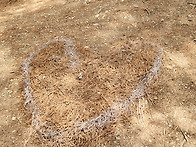 경북 예천 회룡포/비룡산 ..