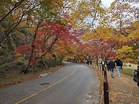 20251112 전북 정읍 내장..