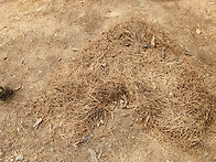 경북 예천 회룡포/비룡산 ..