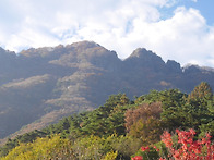 전북 정읍 내장산 단풍산행..