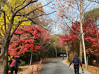 경남 창녕 화왕산 산행(2..