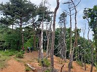 충남아산,천안,만경산,광덕..