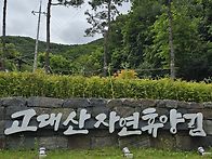 24년6월23일일요일