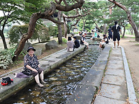 몽중루의 양평 세미원과 ..