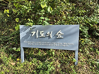 은이성지 십자가의..