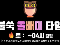 불쑥&#129417;올빼미 타임