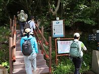 거제 망산 바람에..