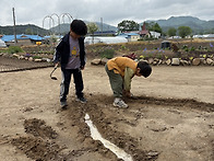 RE : 5/15 마음대로 놀기