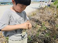 5/20 아카시아 꽃 따오고 놀기