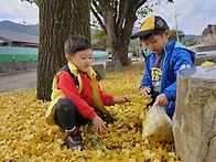 11/4. 가을을 선물해요