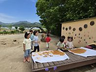 5월 26일 뒷마당