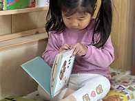 4/2 꽃들레에 찾아온 나비🦋