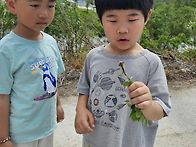 5/20 아카시아 꽃 따오고 놀기