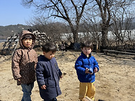 3/19 마음껏 냉이튀김