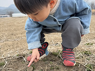 3/25 봄꽃 찾아요~ 🌼