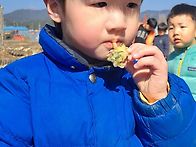 3월 19일 냉이 튀김 & ..