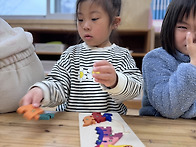 3/18 비 오는 날 꽃들레