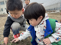 3/25 봄꽃 찾아요~ 🌼