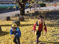 11/4. 가을을 선물해요