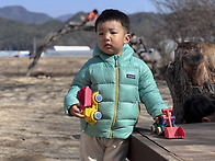 3/19 머슴날과 냉이 튀김