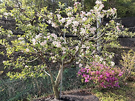 *오늘은. 노타리 작업 하..