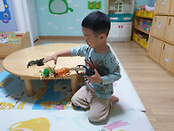 수업 및 놀이모습