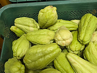 온상설치하고 파종시작합니..