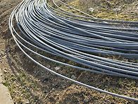 오늘 퇴비받았습니다.